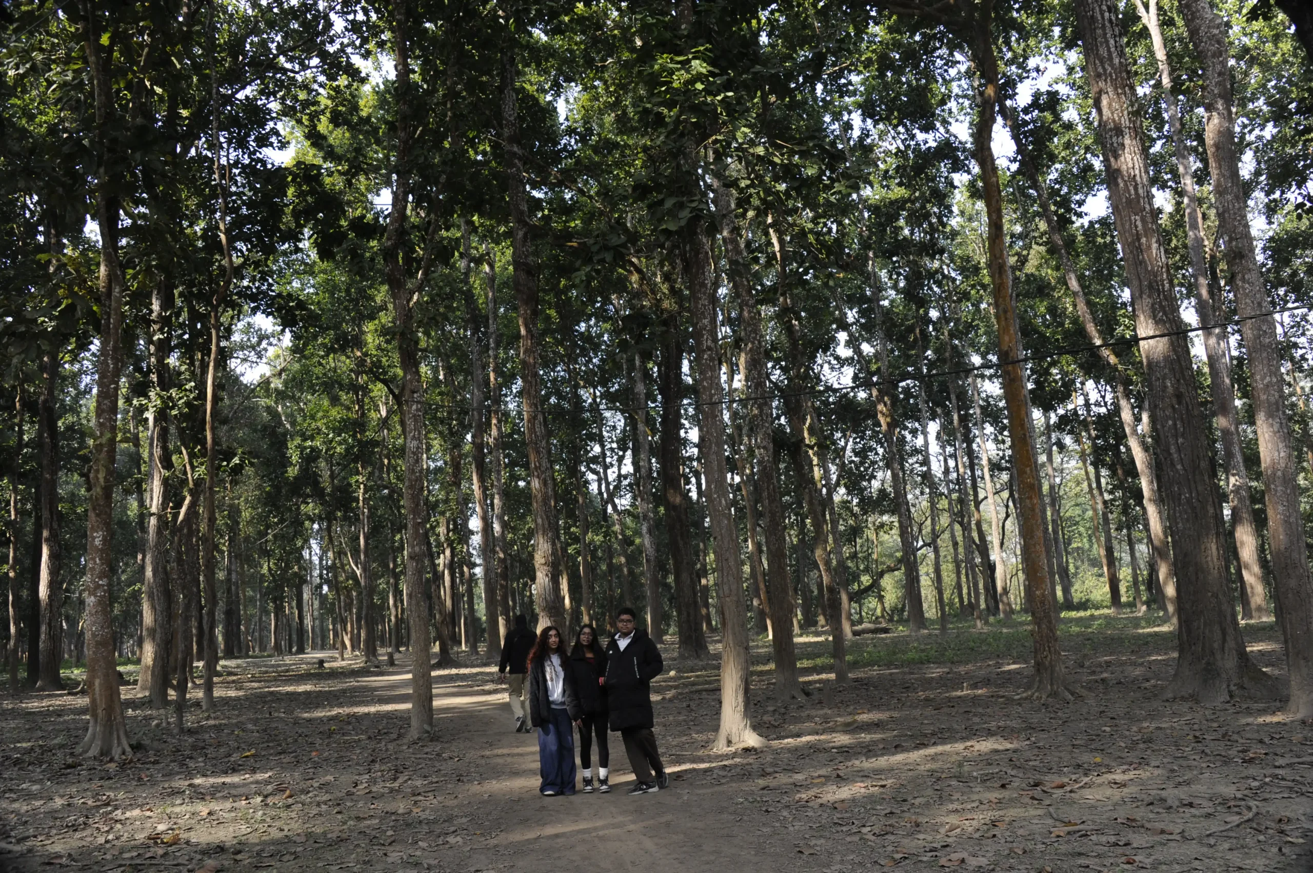 Chitwan Jungle Safari in Chitwan National Park, Nepal.