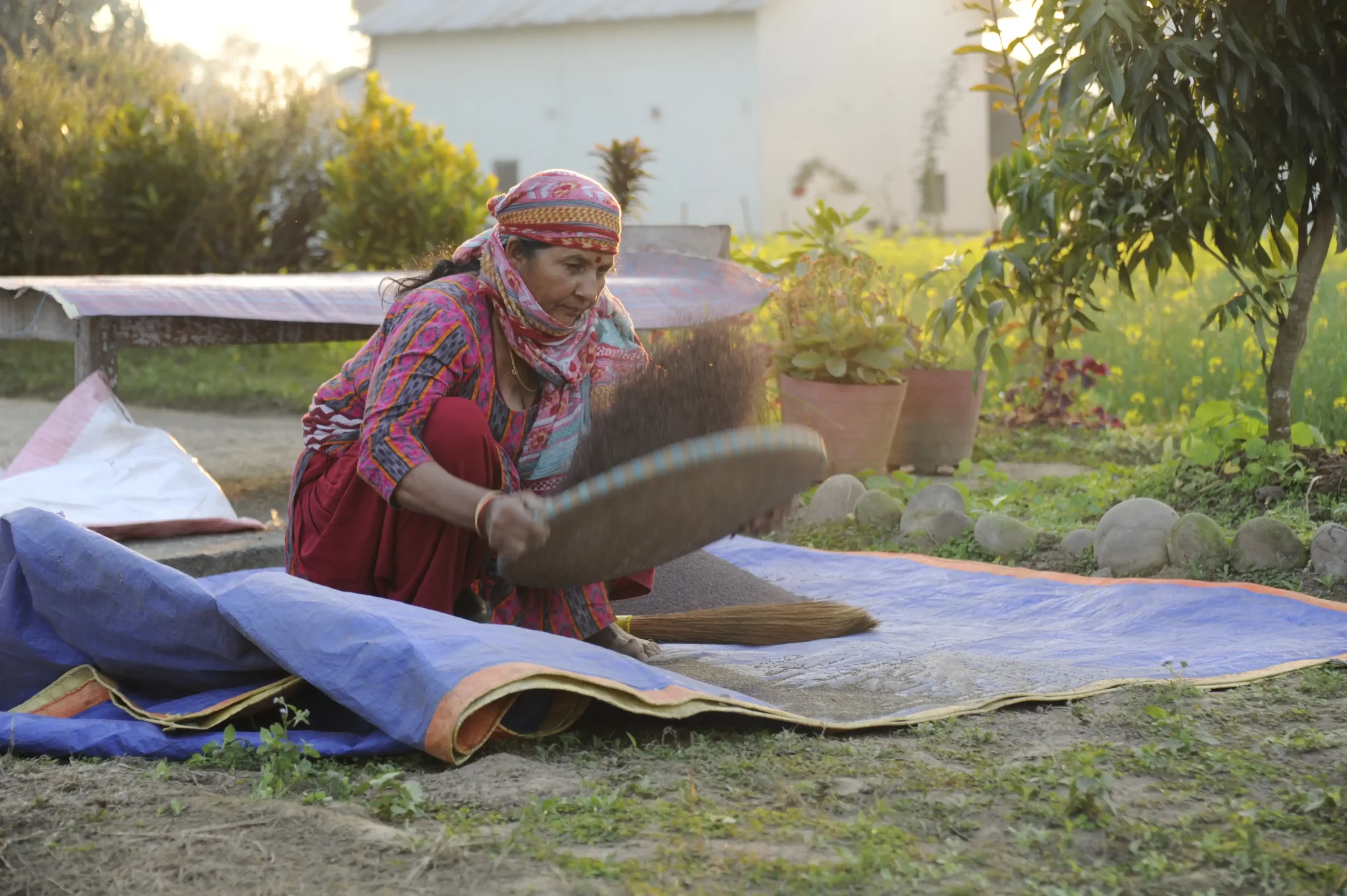 Local Tharu women cleaning rice in Chitwan village.