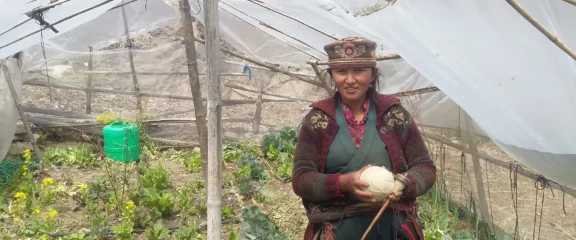 Tamang Heritage Trail Trek.