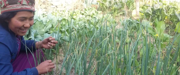 Tamang Heritage Trail Trek.