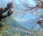 Scenic view of a Magar village from a distance, nestled in the hills with terraced fields and surrounding natural beauty.