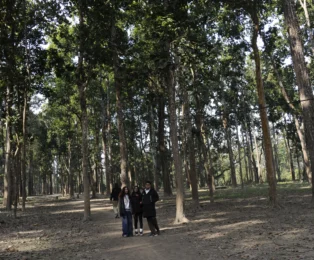 Chitwan Jungle Safari in Chitwan National Park, Nepal.