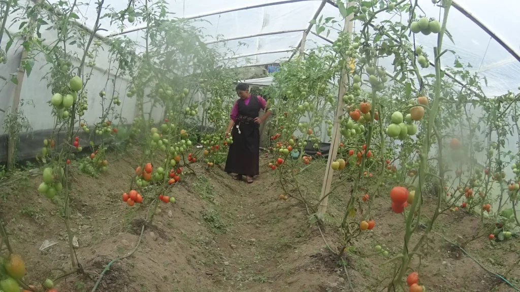 Tamang Heritage Trail