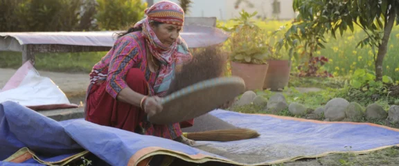 Local Tharu women cleaning rice in Chitwan village.