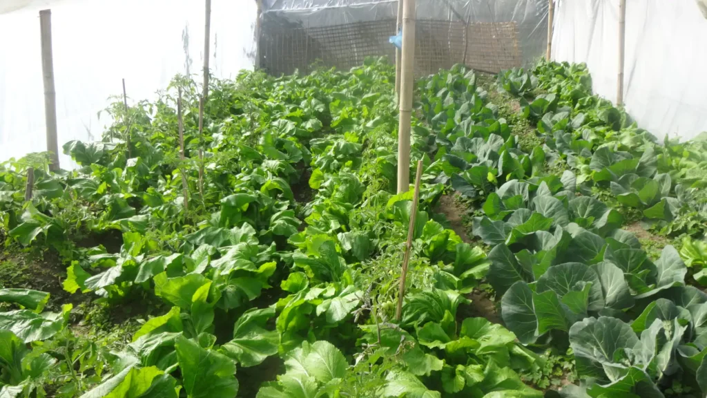 Tamang Heritage Trail