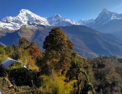 Panoramic view of the majestic Annapurna mountain range from Tadapani, Nepal.