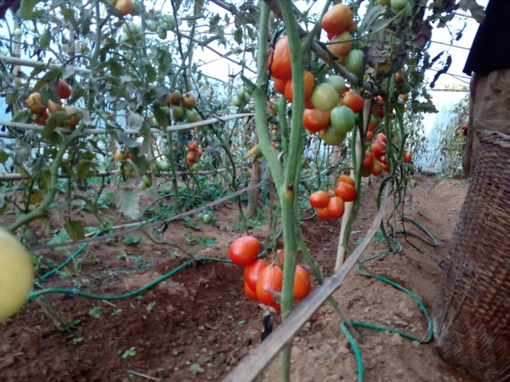 Tamang Heritage Trail