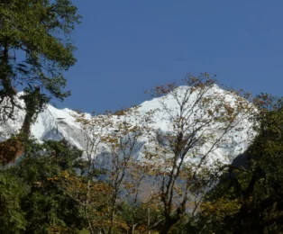 Majestic Langtang Lirung towering above the valley during the Langtang Trek