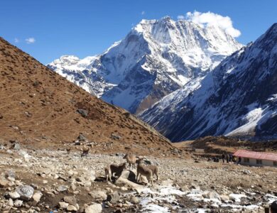 Expansive glaciers cascading down the slopes of Mt. Manaslu, creating a breathtaking landscape.