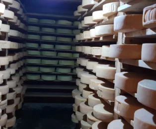 Visiting yak cheese factory in Kyanjin Gompa.
