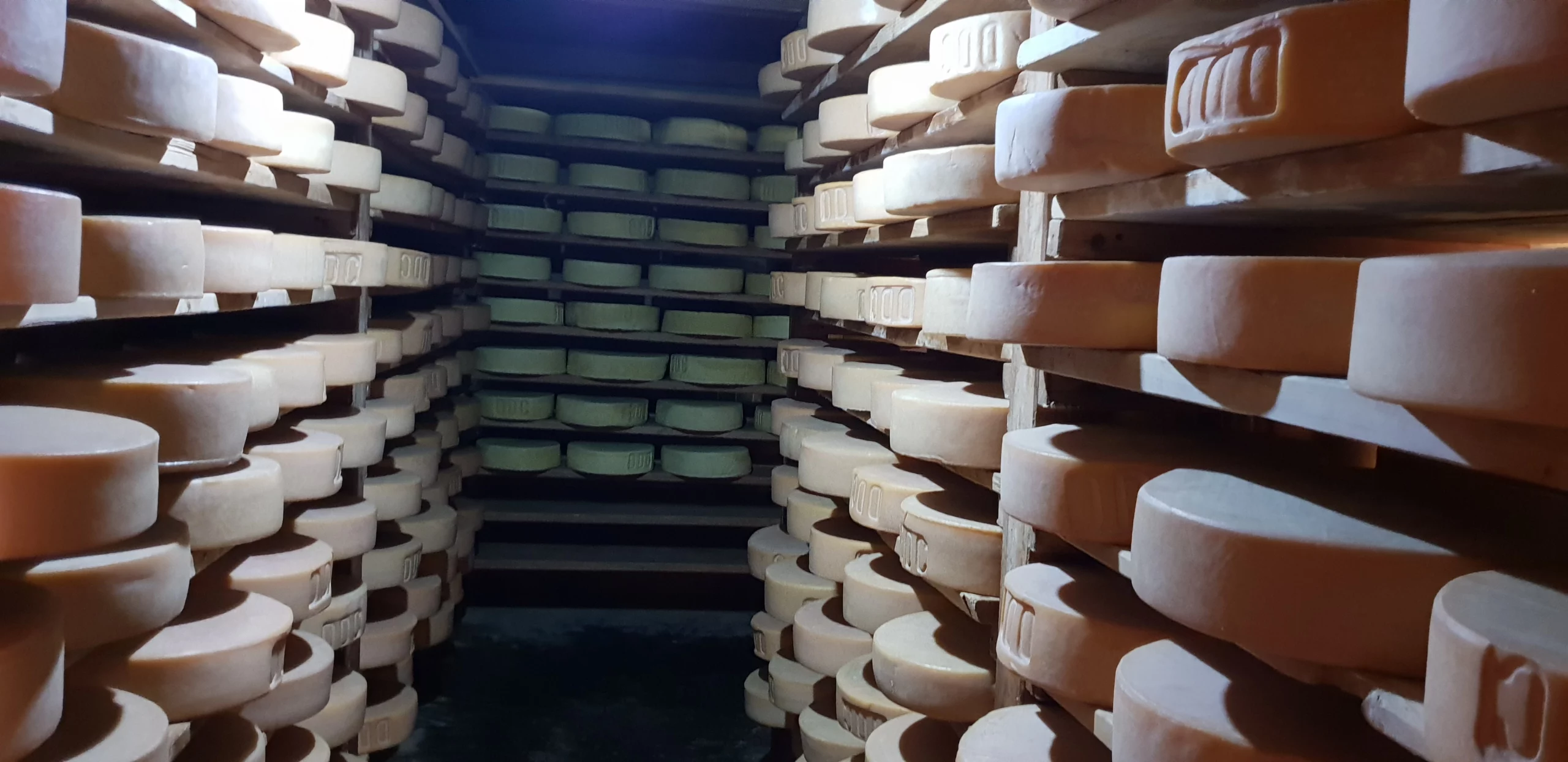 Visiting yak cheese factory in Kyanjin Gompa.