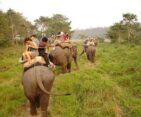 Tourists enjoying an elephant back safari, offering a unique perspective of Chitwan National Park.