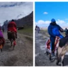 Hiring Horse during Kailash Kora (Parikrama)