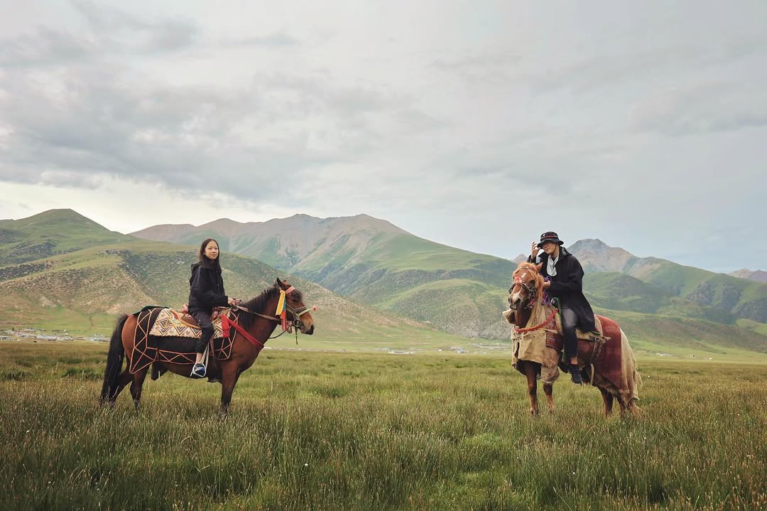 Hiring Horse or Personal Porter for Kailash Parikrama(Kora)