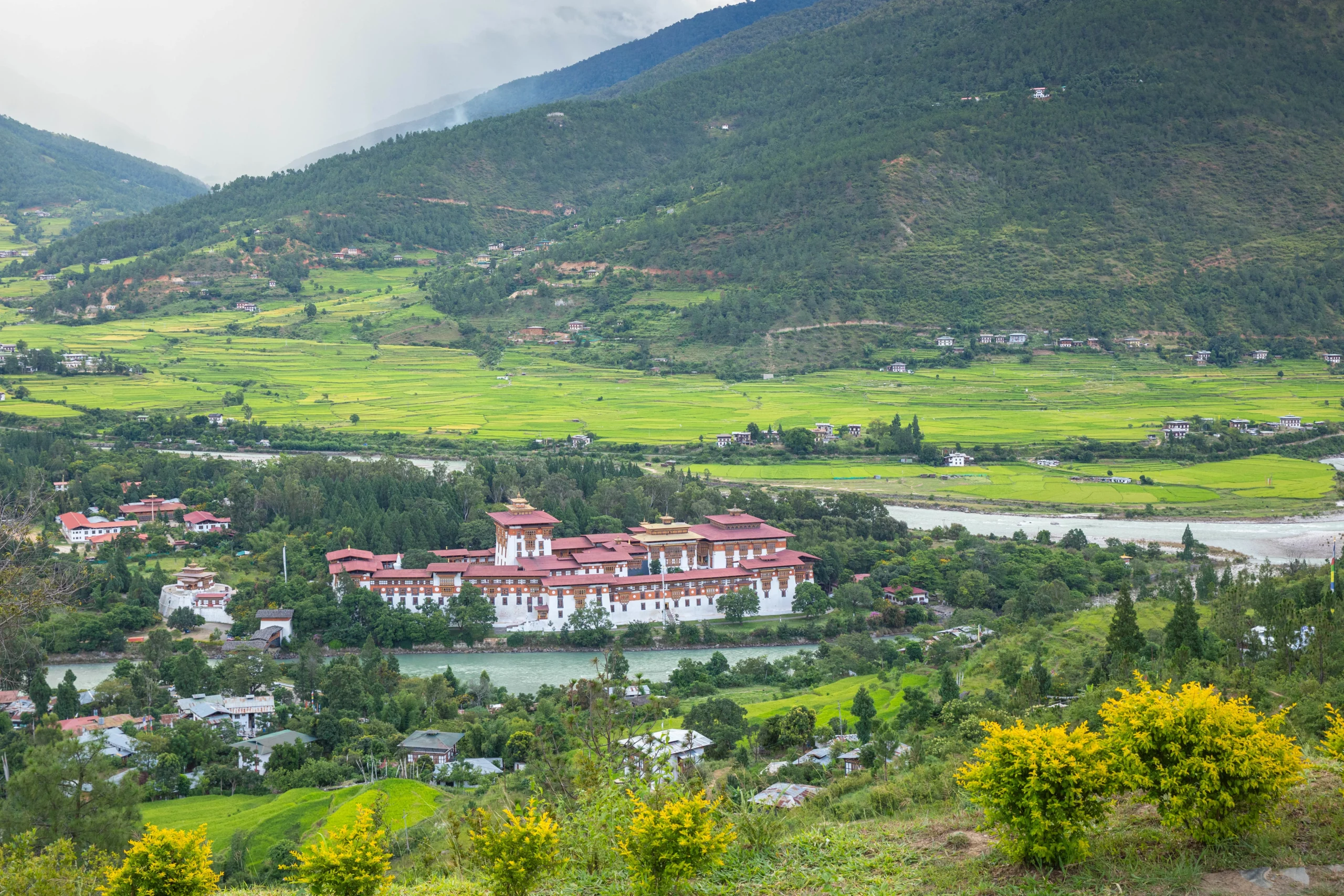 Punakha Dzong and valley – majestic fortress at the confluence of two rivers