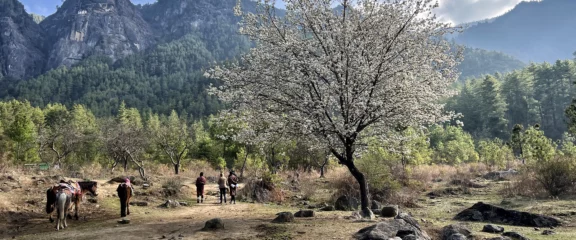 Hikers on the trail to Tiger’s Nest Monastery – trekking experience on Bhutan Tour