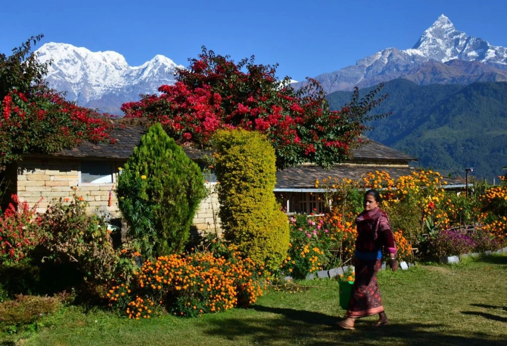 Light Walk to Dhampus Village 