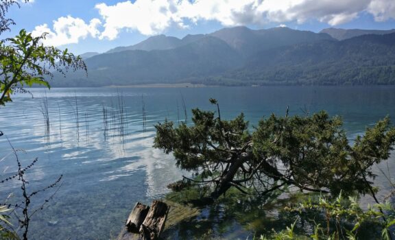 Rara Lake