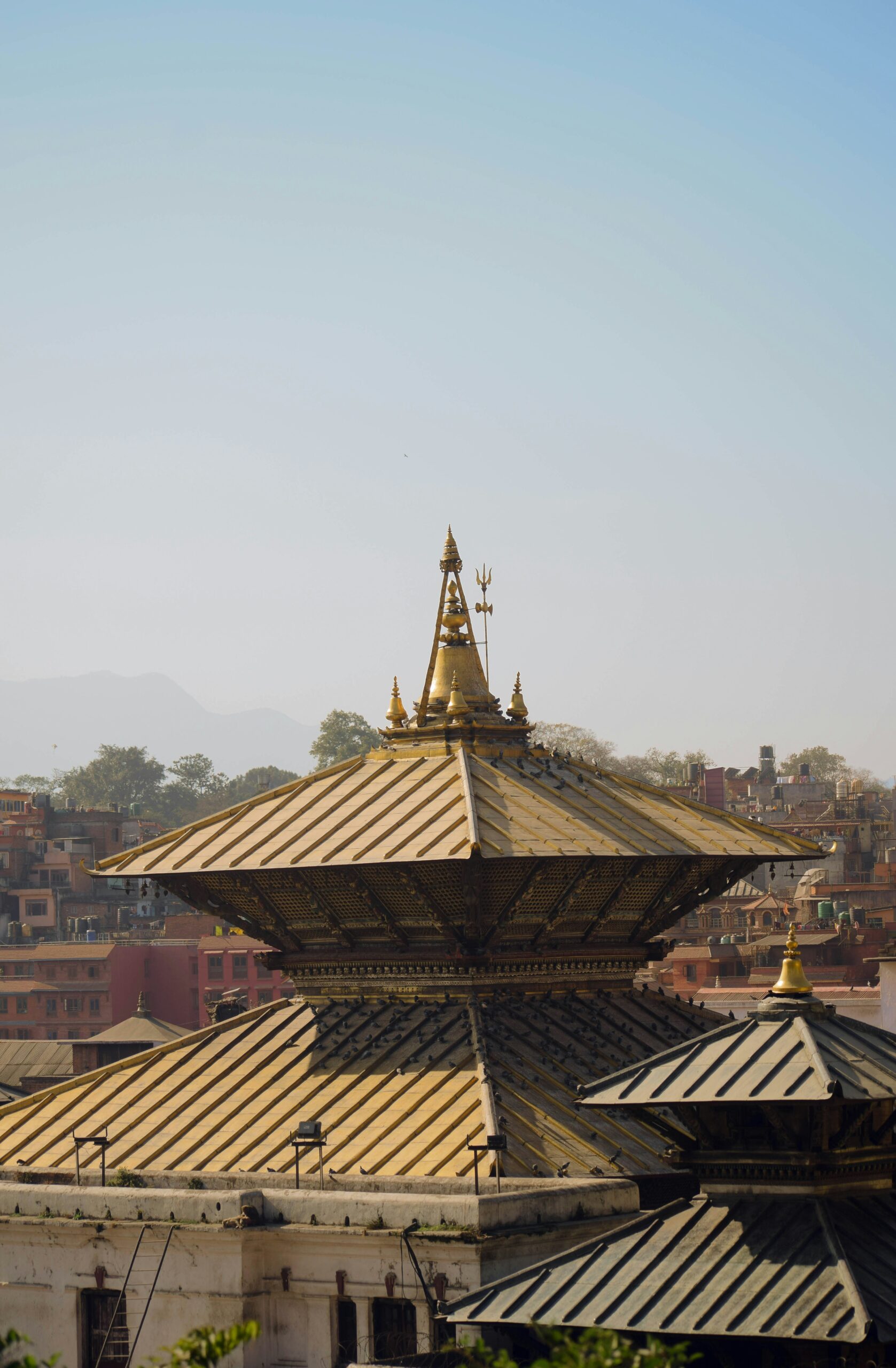 Pashupatinath Temple Kathmandu
