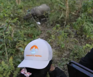 Greater one-horned rhinoceros spotted during jeep safari in Chitwan National Park on the Best of Nepal Tour.