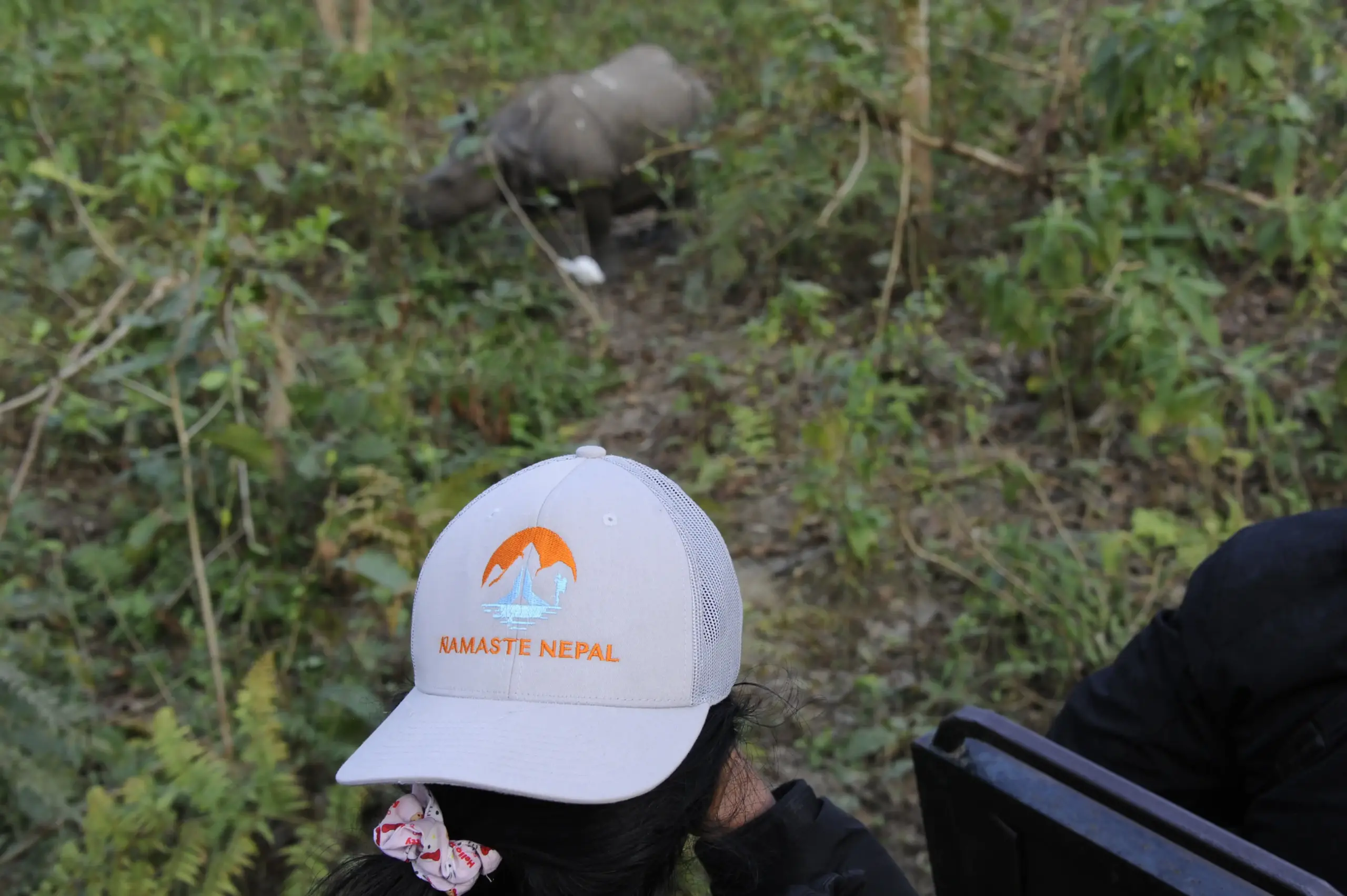 Greater one-horned rhinoceros spotted during jeep safari in Chitwan National Park on the Best of Nepal Tour.